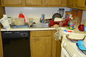 Forclosure Clean Out Kitchen Before