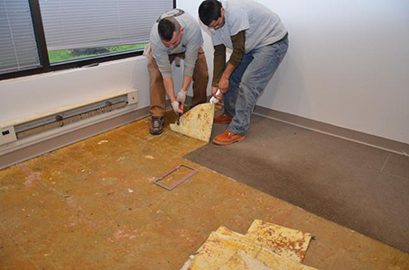 Carpet Removal Potomac MD