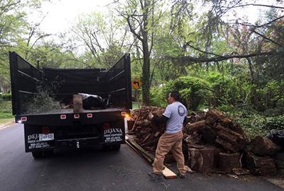 Yard Debris Removal Clifton